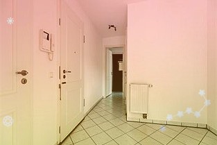 华新水泥600801:西南贡献价格弹性水泥+贡献成长性